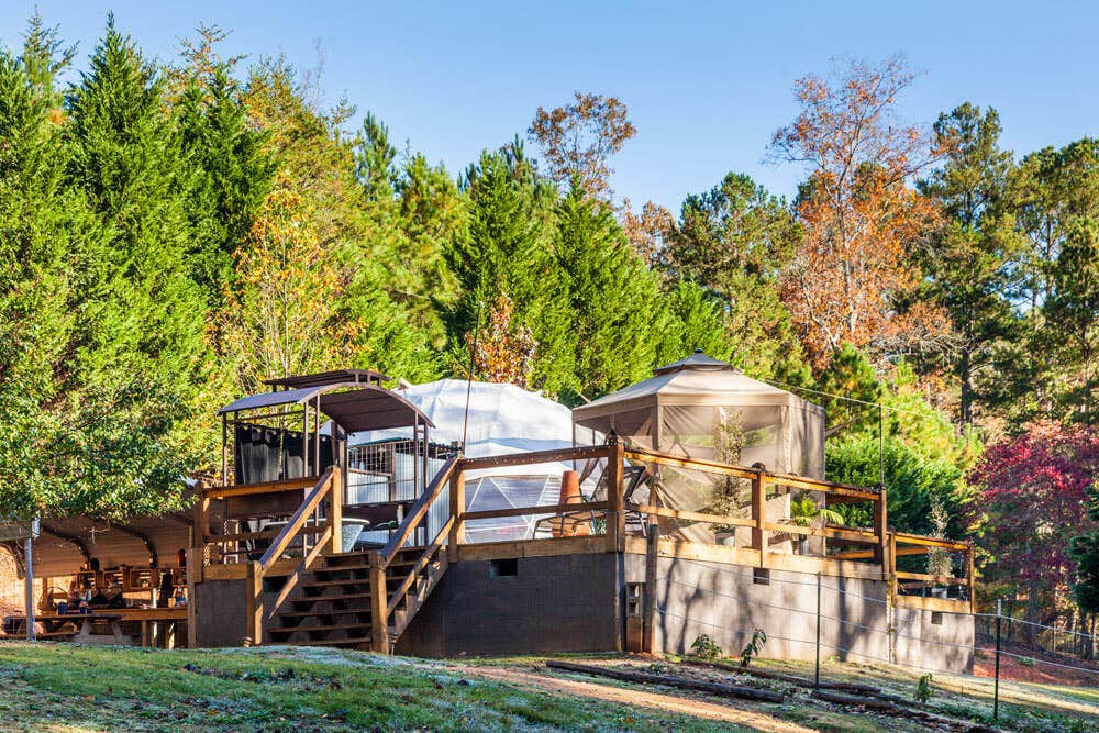 Camper submitted image from North Georgia Glamping - 2