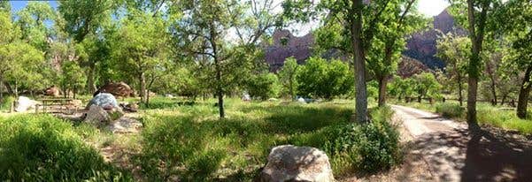 Camper submitted image from South Campground — Zion National Park - 5