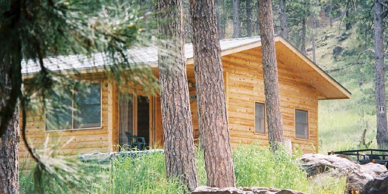 Camper submitted image from Pine Rest Cabins