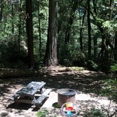 Review photo of Hidden Springs Campground — Humboldt Redwoods State Park by Jackie F., July 18, 2018