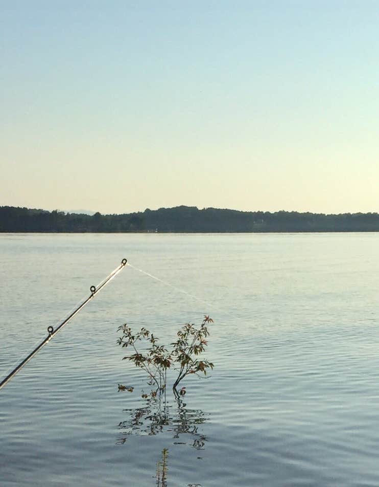 Camper-submitted photo at Sadlers Creek State Park Campground near Hartwell Lake