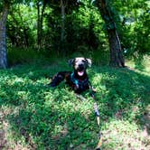 Review photo of McKinney Falls State Park Campground by Chelsea O., July 18, 2018