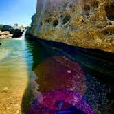 Review photo of McKinney Falls State Park Campground by Chelsea O., July 18, 2018