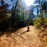 Review photo of Martin Dies, Jr. State Park Campground by Chelsea O., July 18, 2018