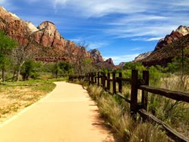 Camper submitted image from South Campground — Zion National Park - 3