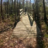 Review photo of Martin Dies, Jr. State Park Campground by Chelsea O., July 18, 2018