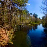 Review photo of Martin Dies, Jr. State Park Campground by Chelsea O., July 18, 2018