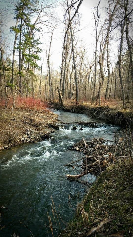 Camper submitted image from Bearpaw Lake - 2