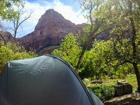 Tarah S.'s photo at South Campground — Zion National Park near Zion National Park