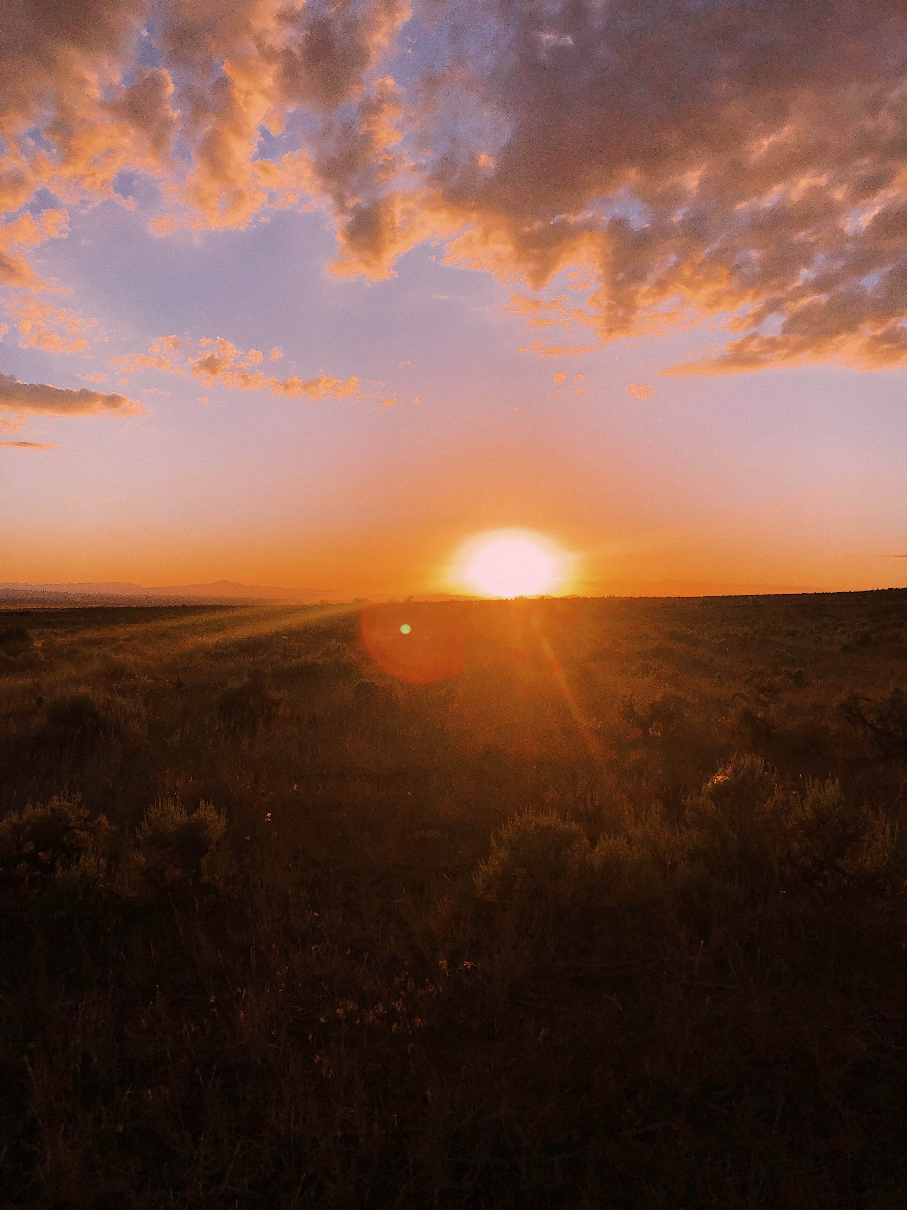 Camper-submitted photo at Dispersed West Fork 8 Mile Road near Delta, UT