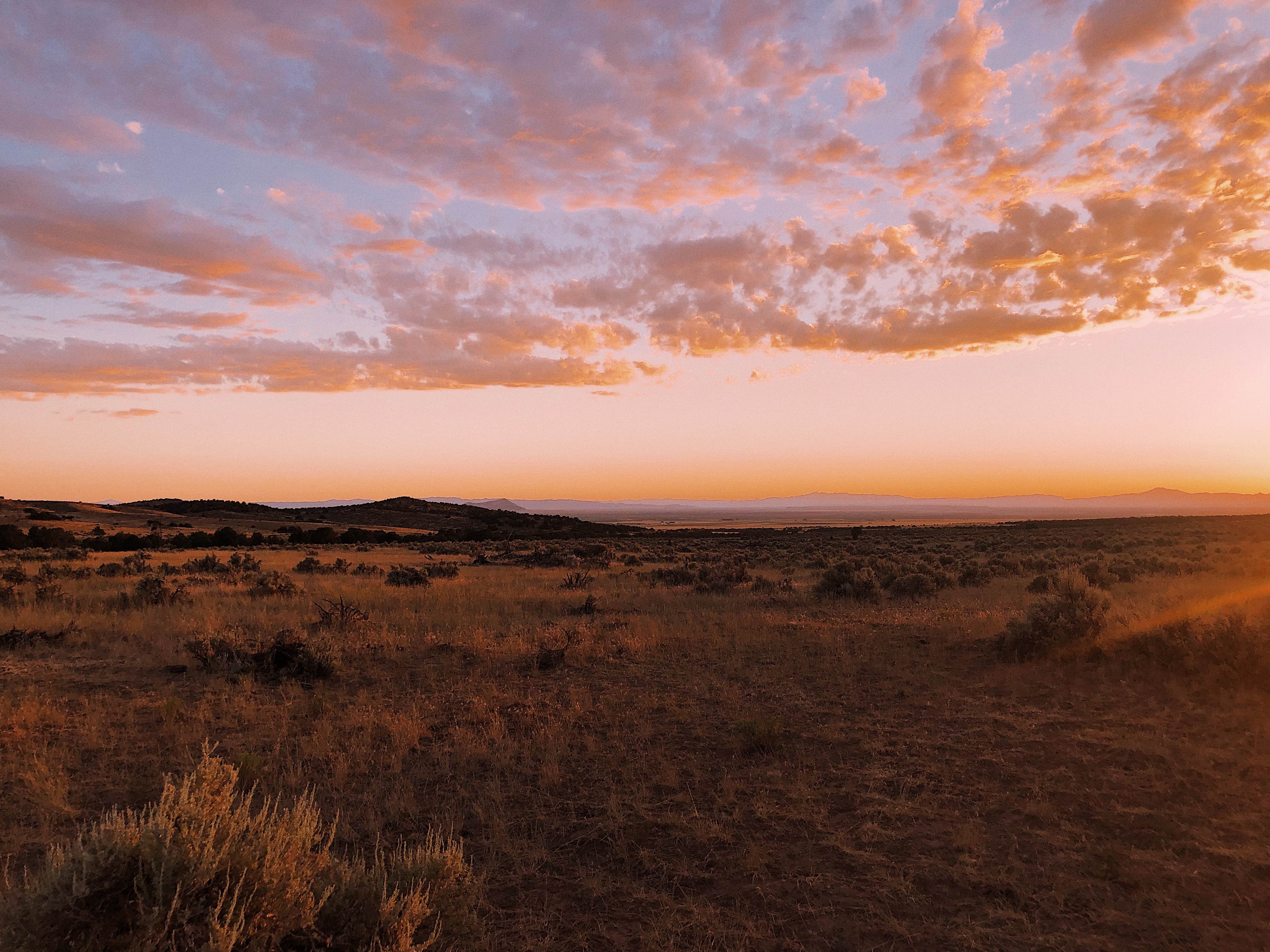 Camper-submitted photo at Dispersed West Fork 8 Mile Road near Delta, UT
