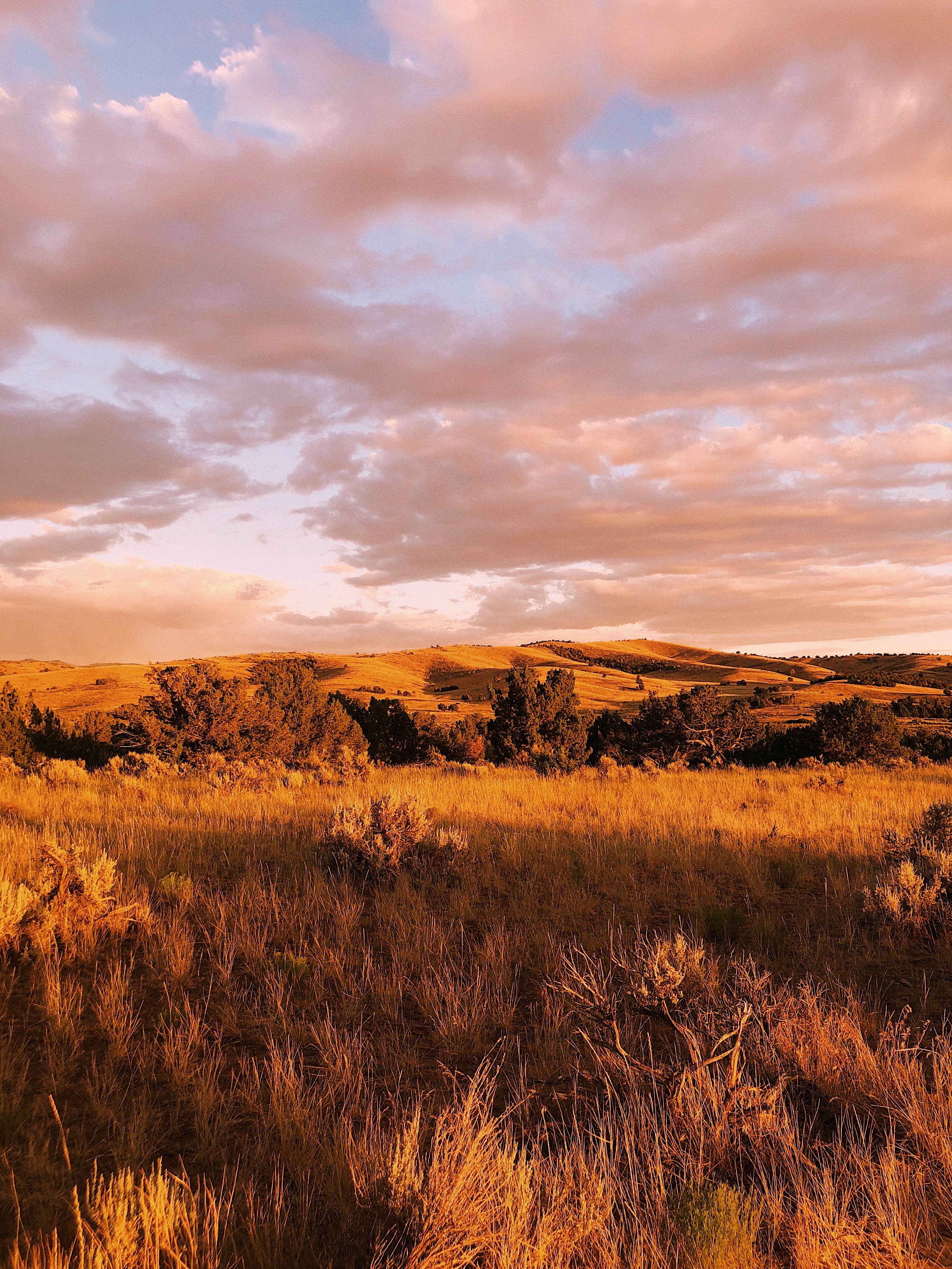 Camper-submitted photo at Dispersed West Fork 8 Mile Road near Delta, UT