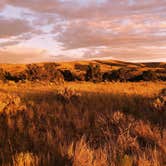 Review photo of Dispersed West Fork 8 Mile Road by Trysten , July 6, 2022