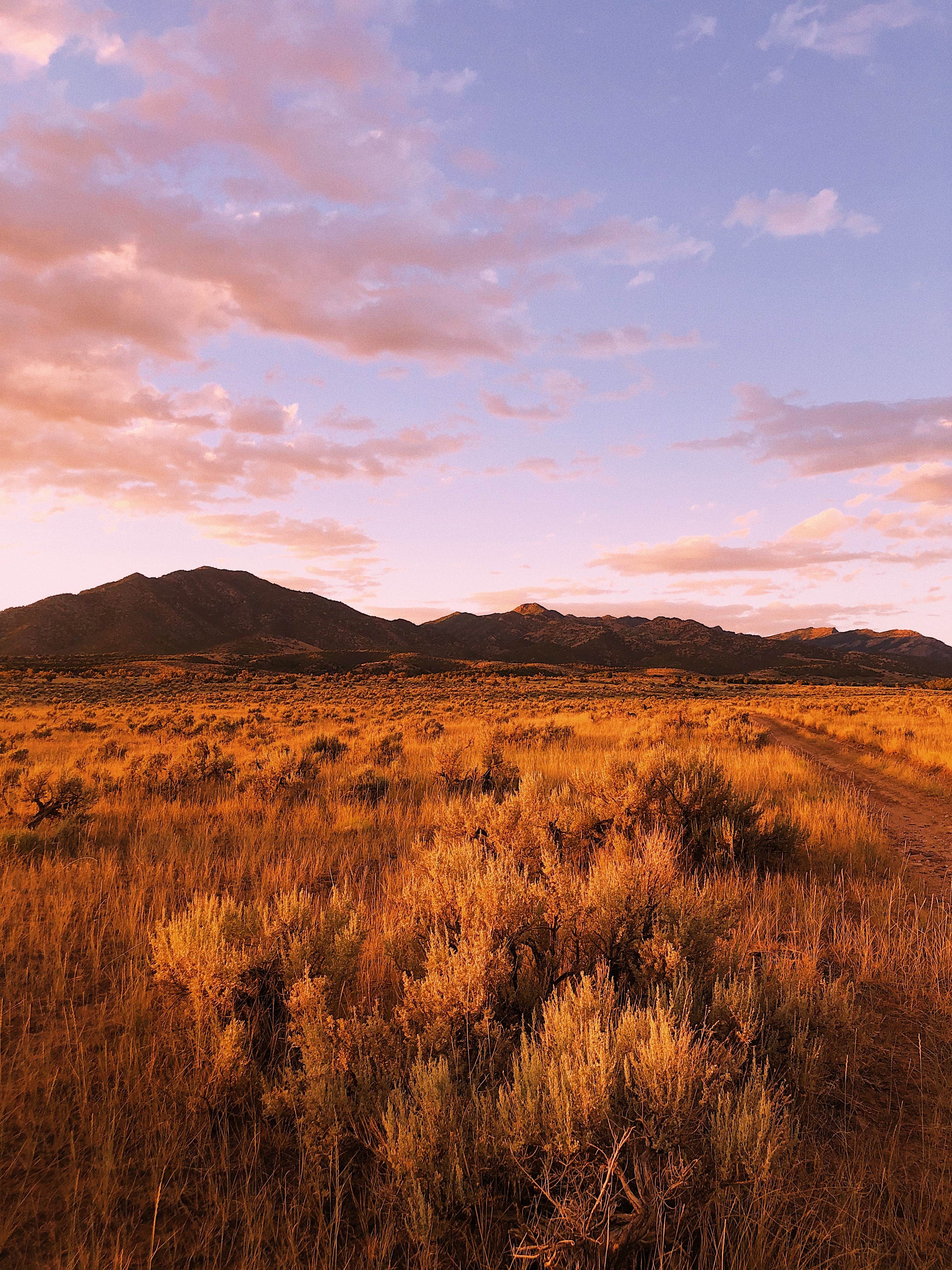 Camper-submitted photo at Dispersed West Fork 8 Mile Road near Delta, UT