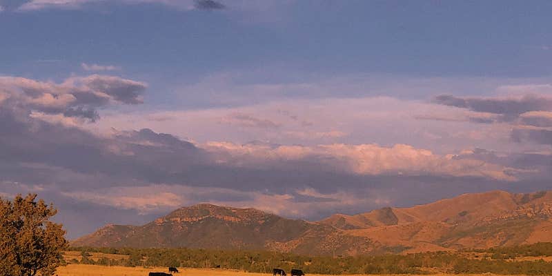 Camper submitted image from Dispersed West Fork 8 Mile Road