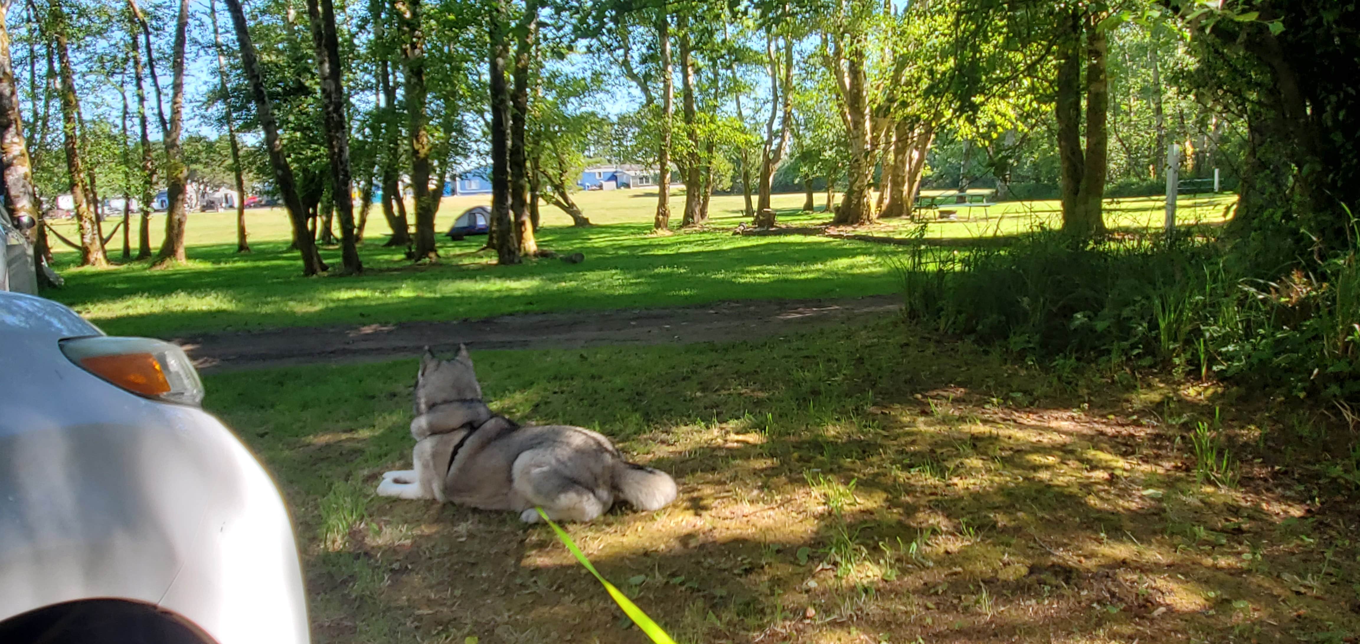 American Sunset RV & Tent Resort Westport, WA