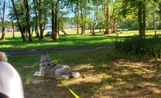 Susan P.'s photo of camping with pets at American Sunset RV & Tent Resort near Ocean Shores, WA