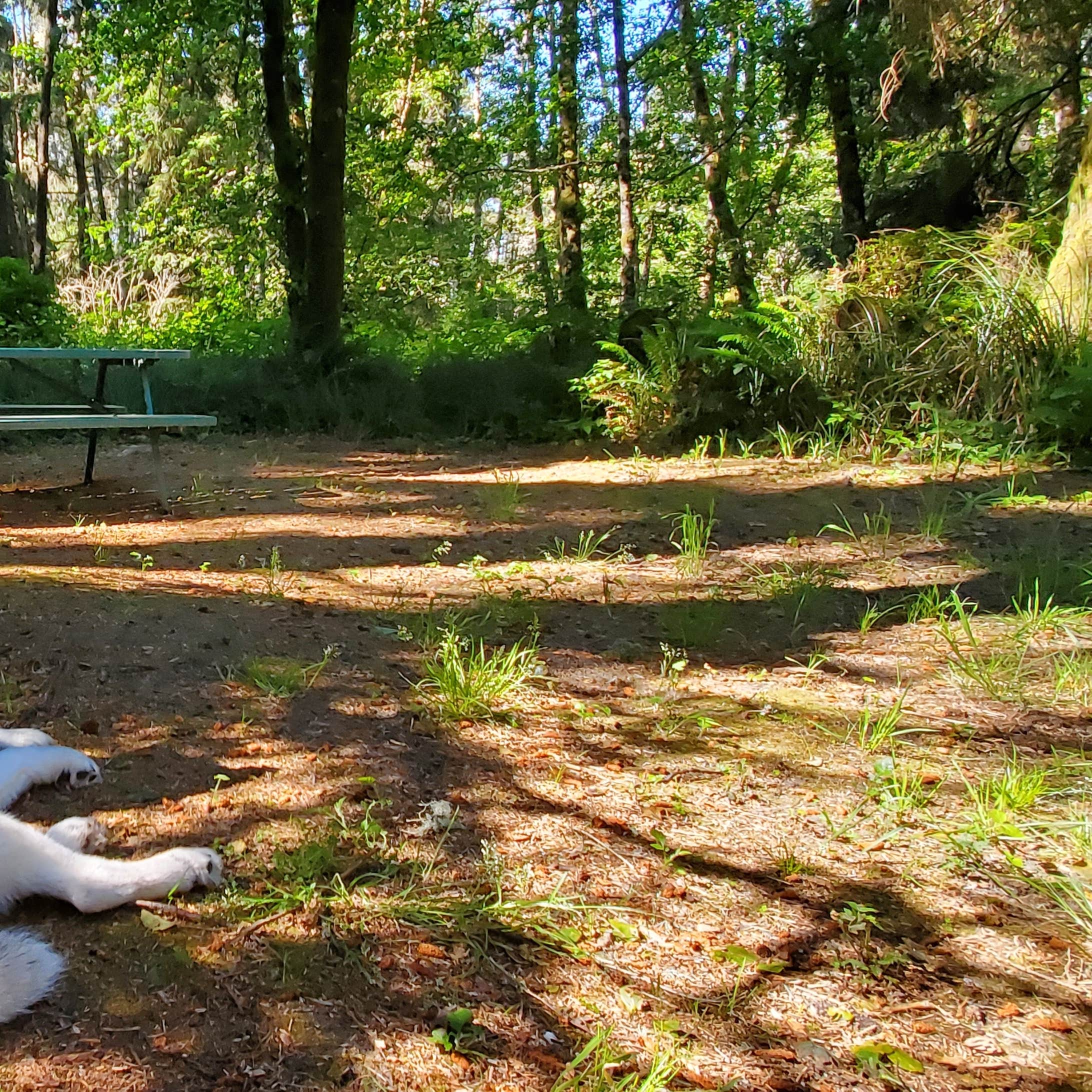 American Sunset RV & Tent Resort Westport, WA