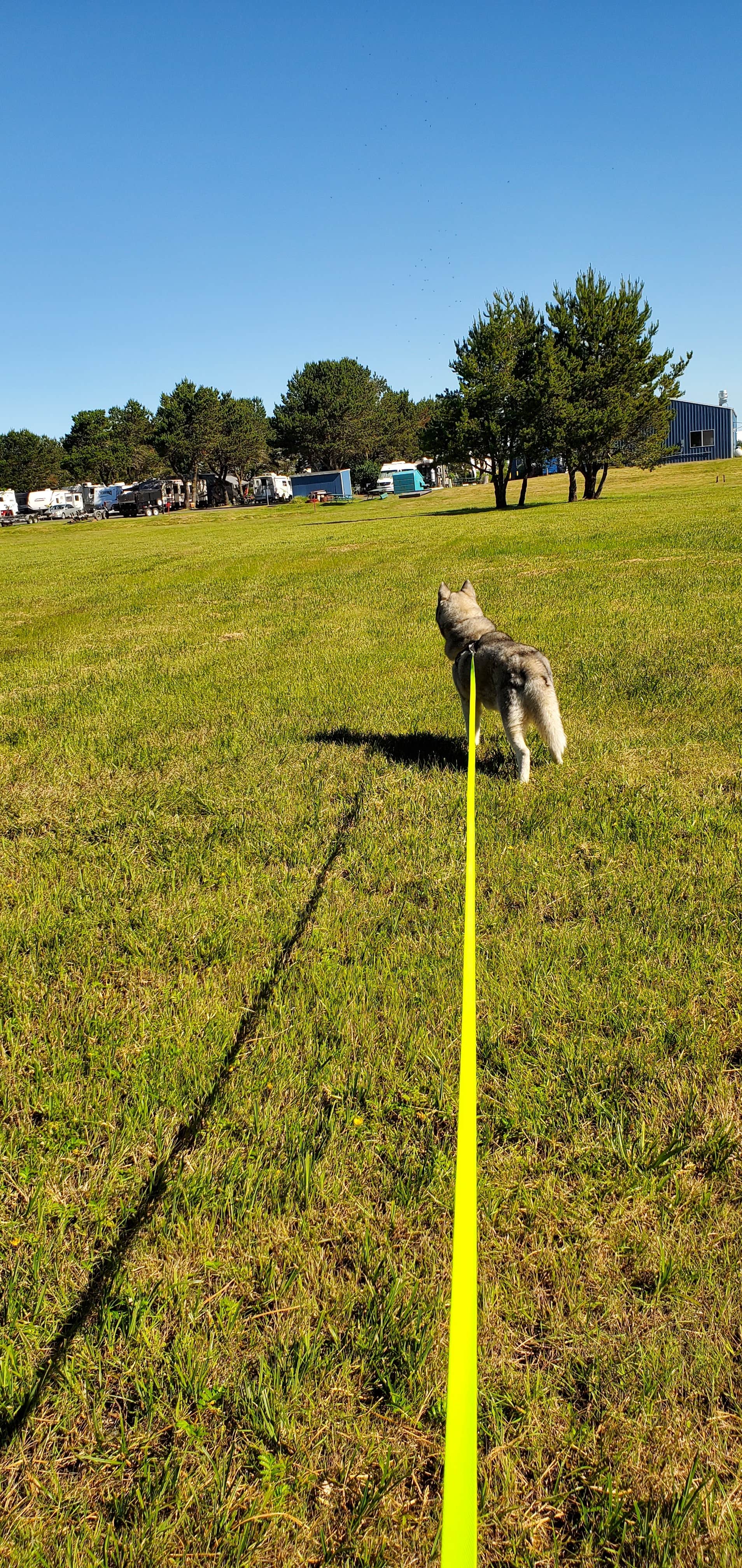 Camper-submitted photo at American Sunset RV & Tent Resort near Ocean Shores, WA
