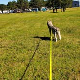 Review photo of American Sunset RV & Tent Resort by Susan P., July 6, 2022