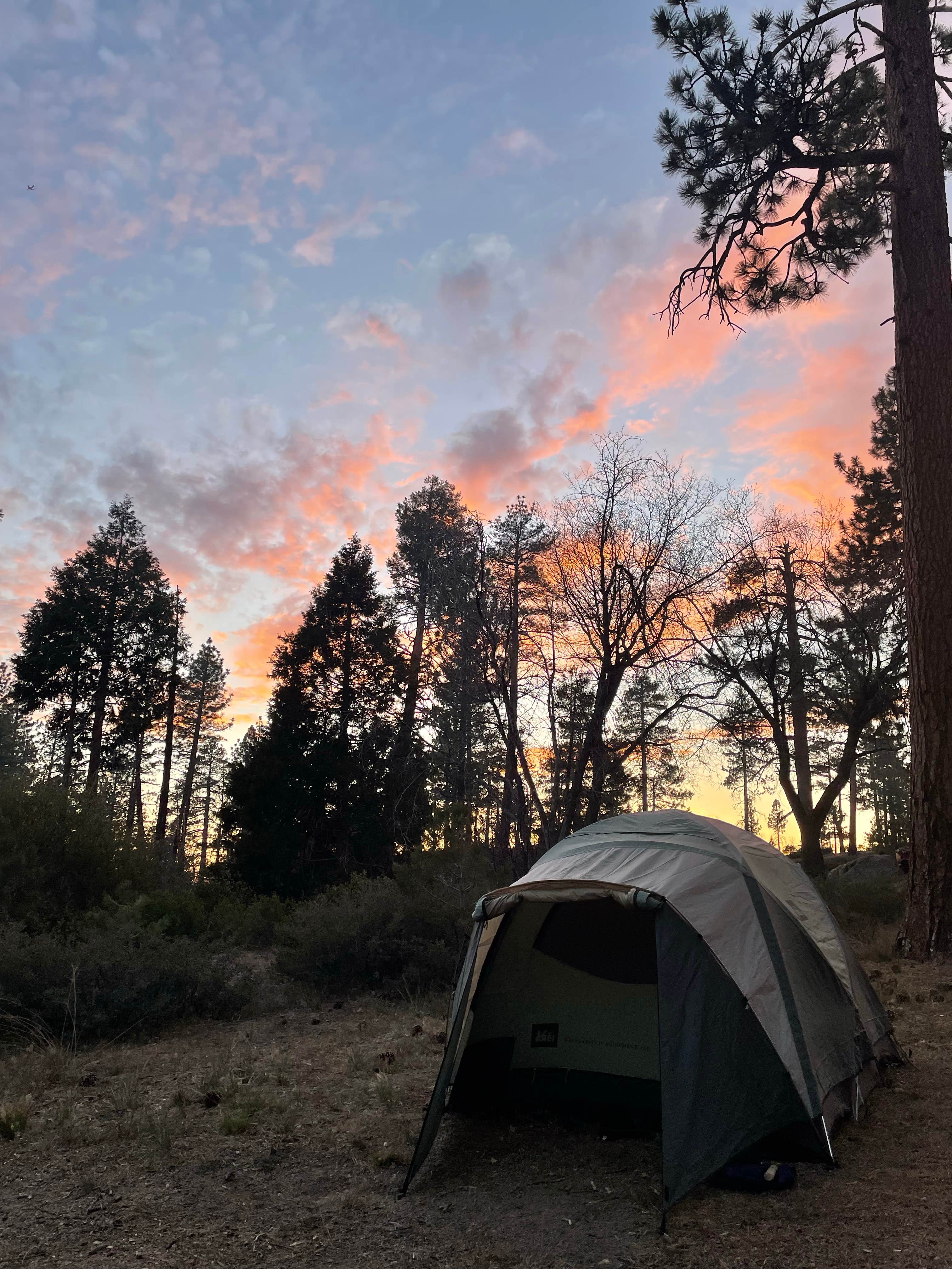 Randall G.'s photo at Hanna Flat Campground near Big Bear Lake, CA