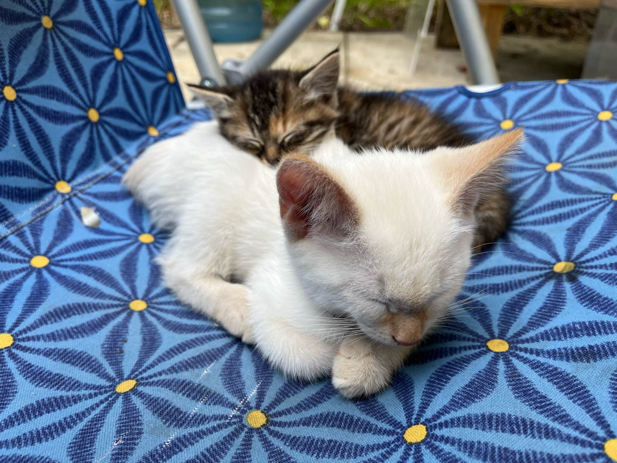 Camper-submitted photo at Possible Property near Rocky Mount, VA