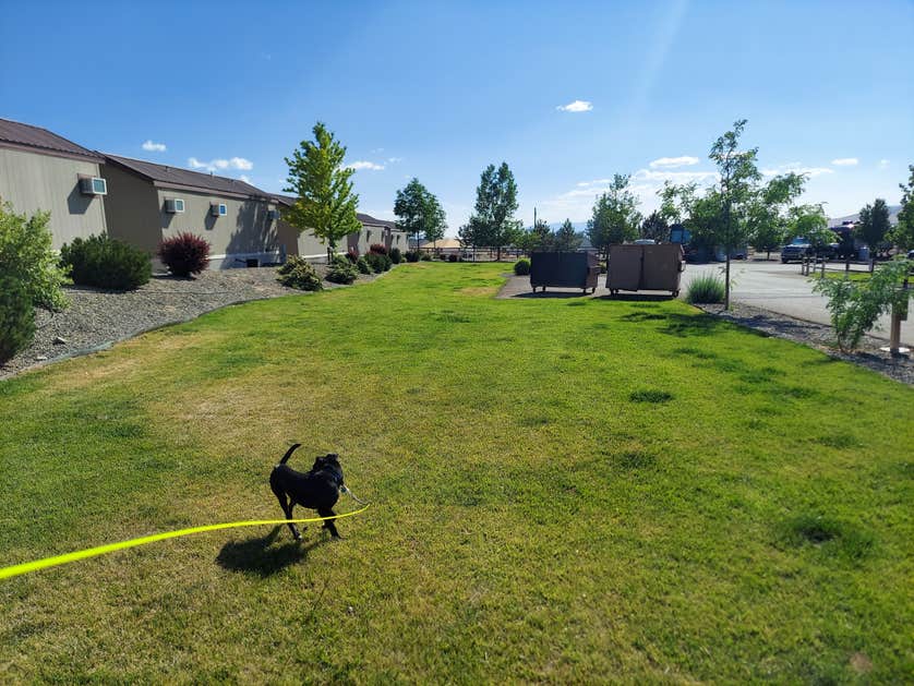 New Frontier RV Park Camping The Dyrt