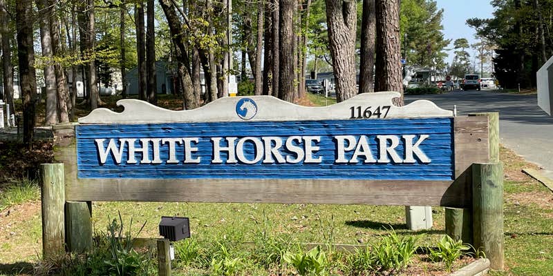Camper submitted image from White Horse RV Park