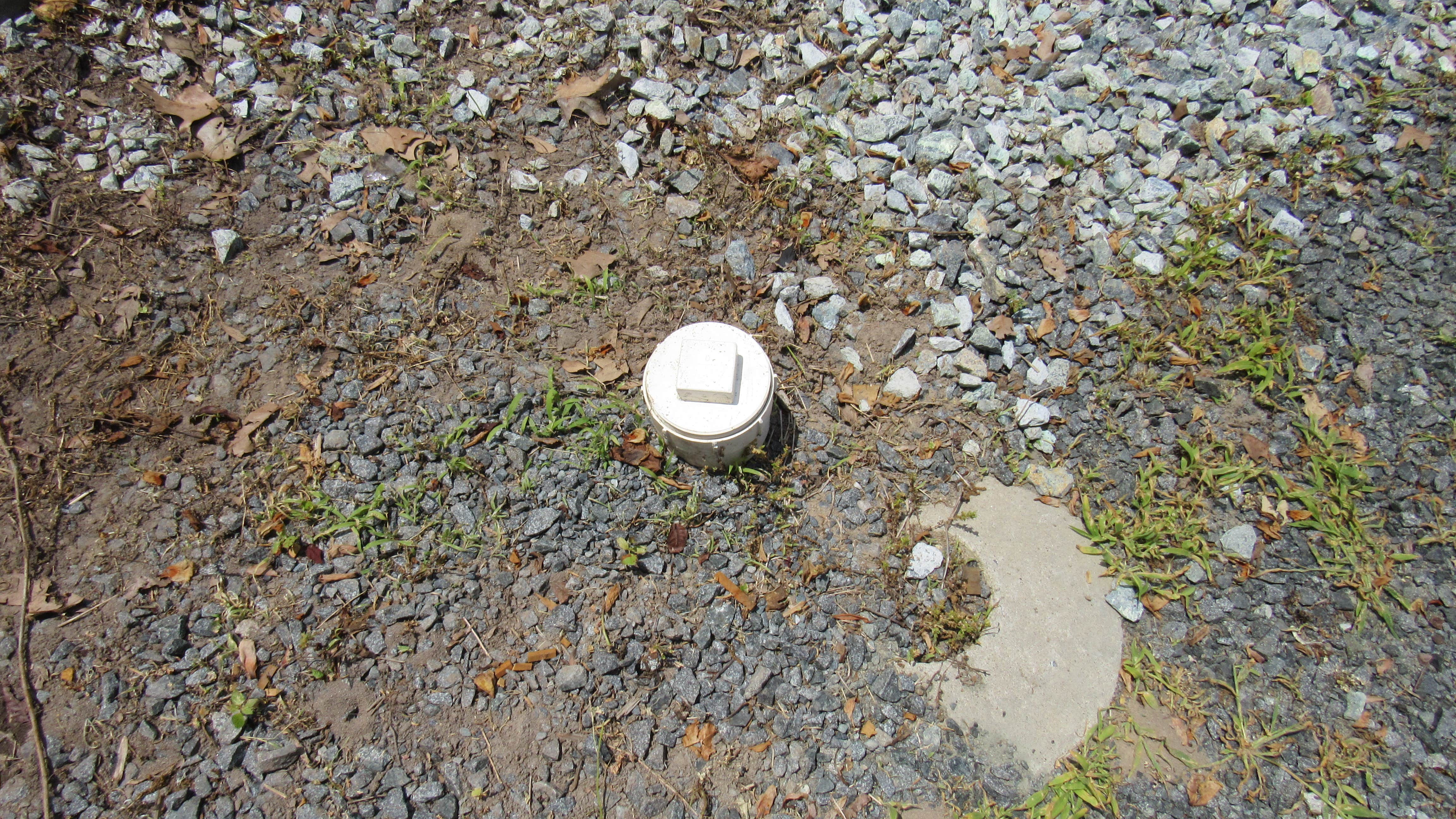 Camper-submitted photo at White Horse RV Park near Assateague Island National Seashore