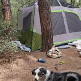 Review photo of Houston Mesa Campground by csey R., July 6, 2022