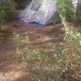 Review photo of Houston Mesa Campground by csey R., July 6, 2022