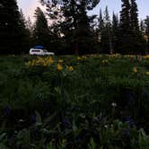 Review photo of Shadow Mountain Dispersed Camping by Trysten , July 6, 2022