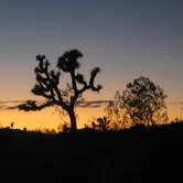 Review photo of Jumbo Rocks Campground — Joshua Tree National Park by Hayley K., July 27, 2016