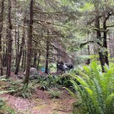 Review photo of Dispersed Camping NF 2918 — Olympic National Park by Jade M., July 6, 2022