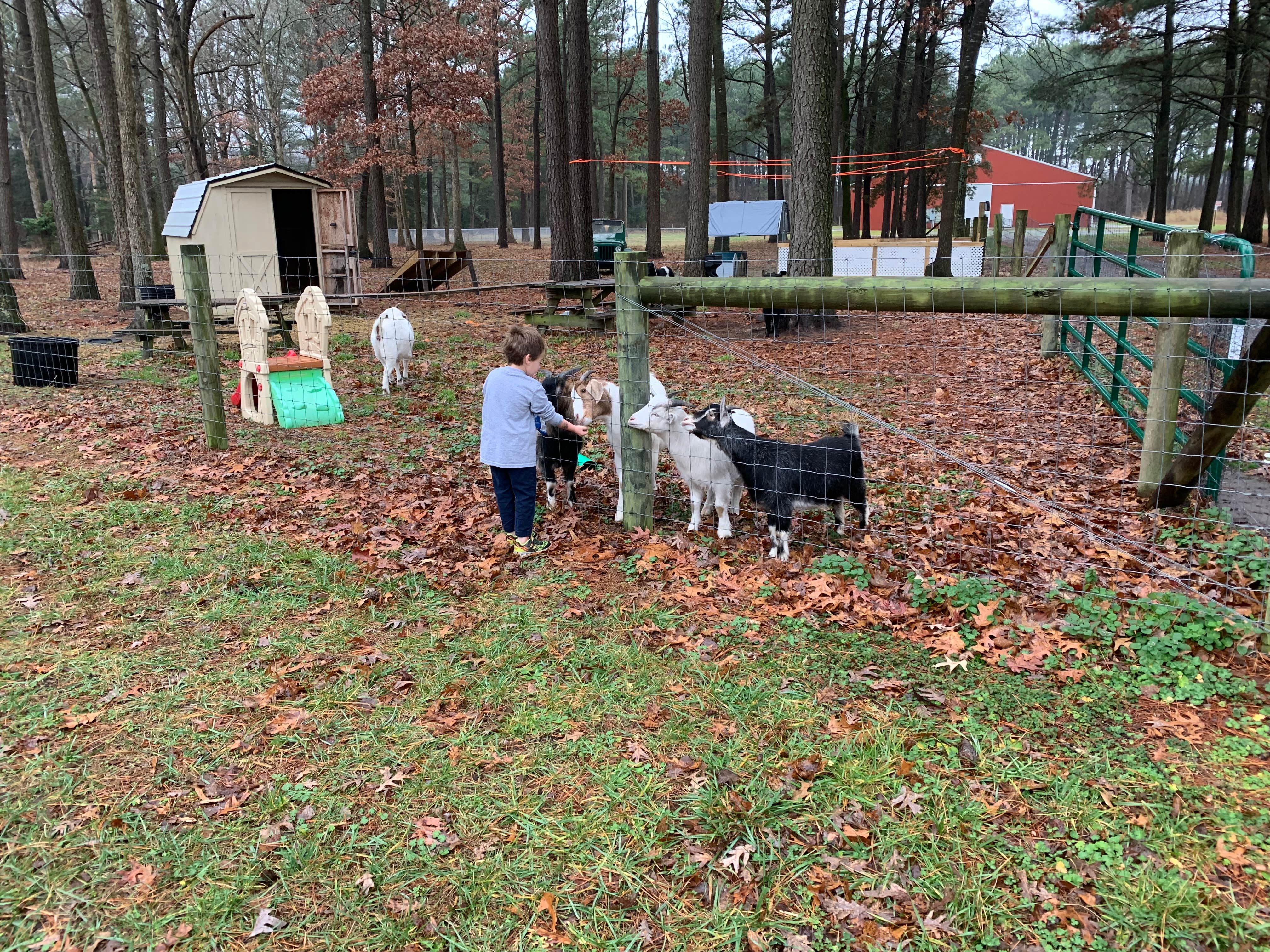 Camper-submitted photo at Adventures Await Retreat near Milford, DE