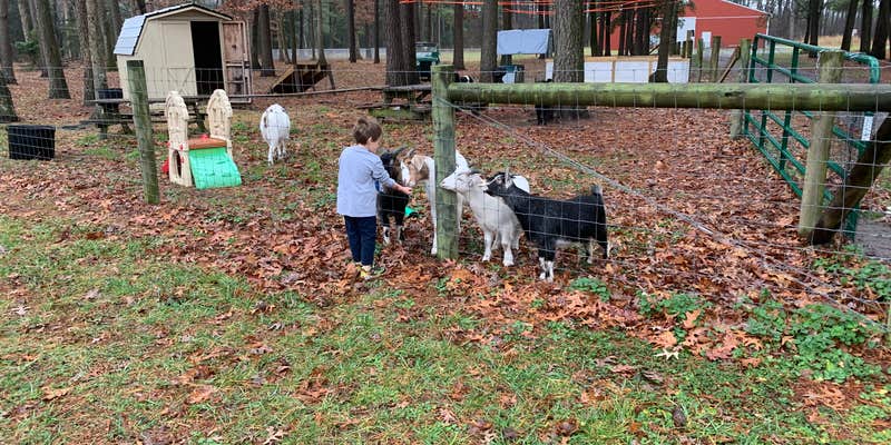 Camper submitted image from Adventures Await Retreat