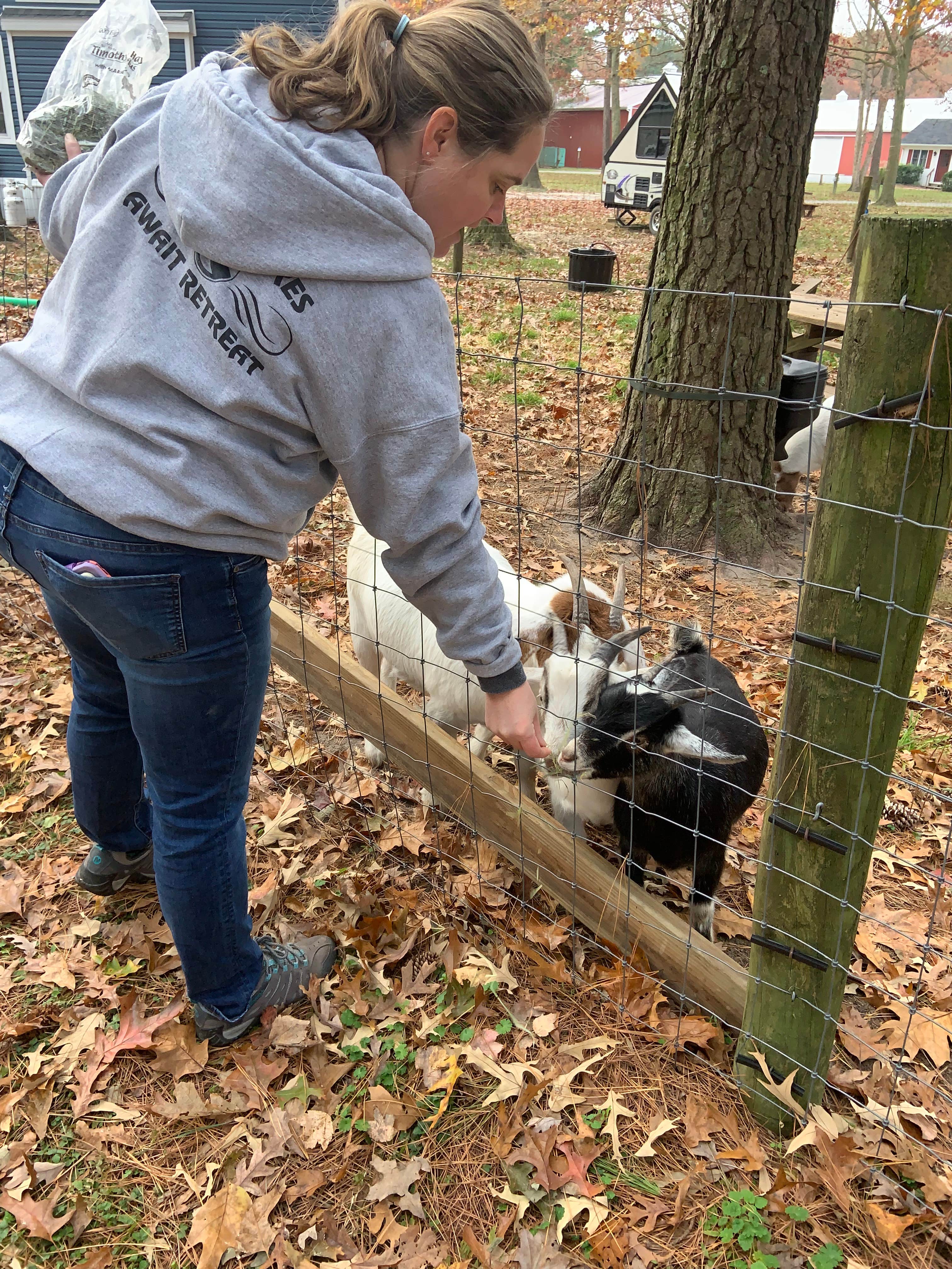 Camper-submitted photo at Adventures Await Retreat near Milford, DE
