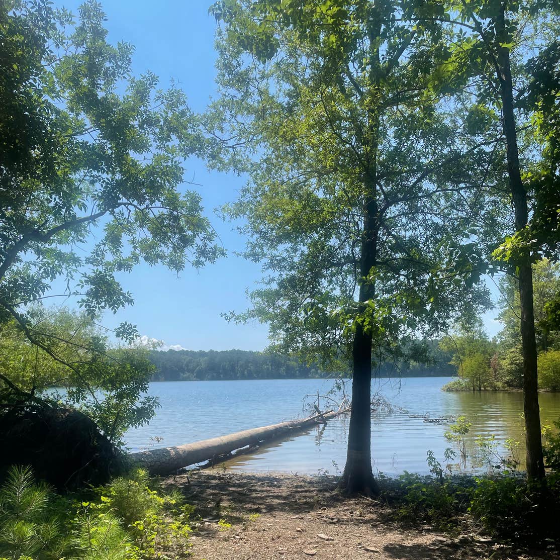 Bussey Point Wilderness Area Camping Modoc, GA