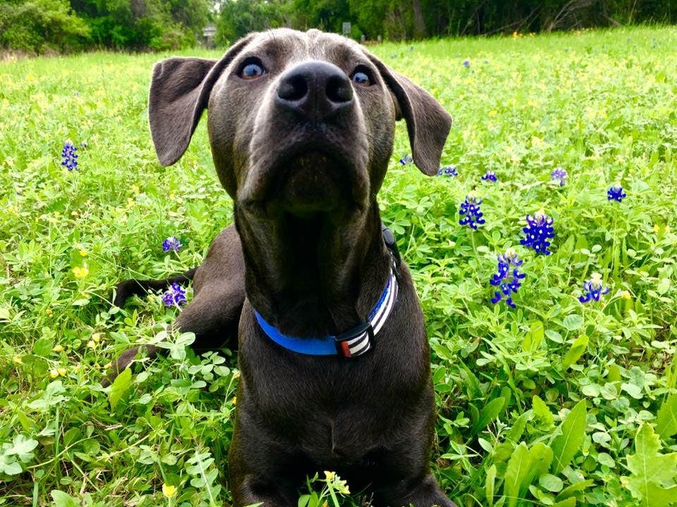 Camper-submitted photo at Karankawa Camping Area — Goliad State Park near Goliad, TX