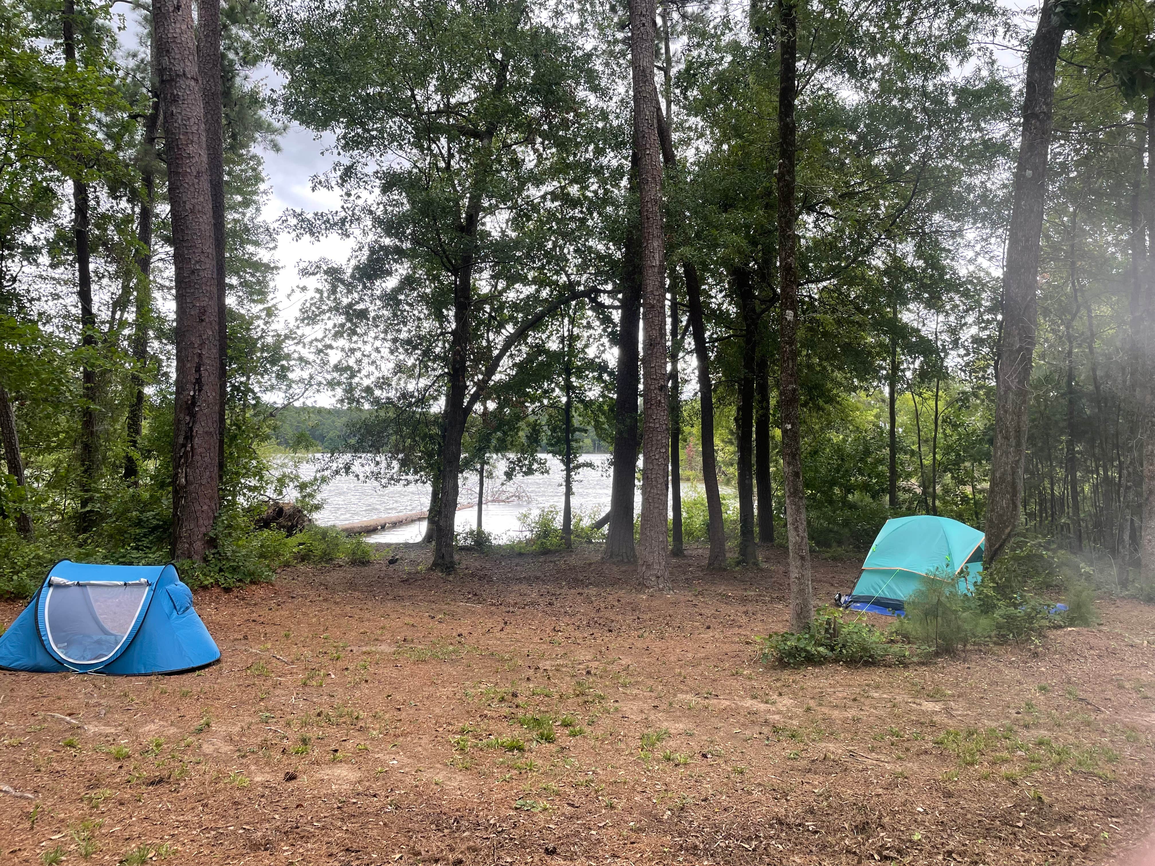 Camper-submitted photo at Bussey Point Wilderness Area near North Augusta, SC