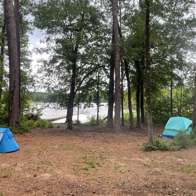Bussey Point Wilderness Area Camping Modoc, GA