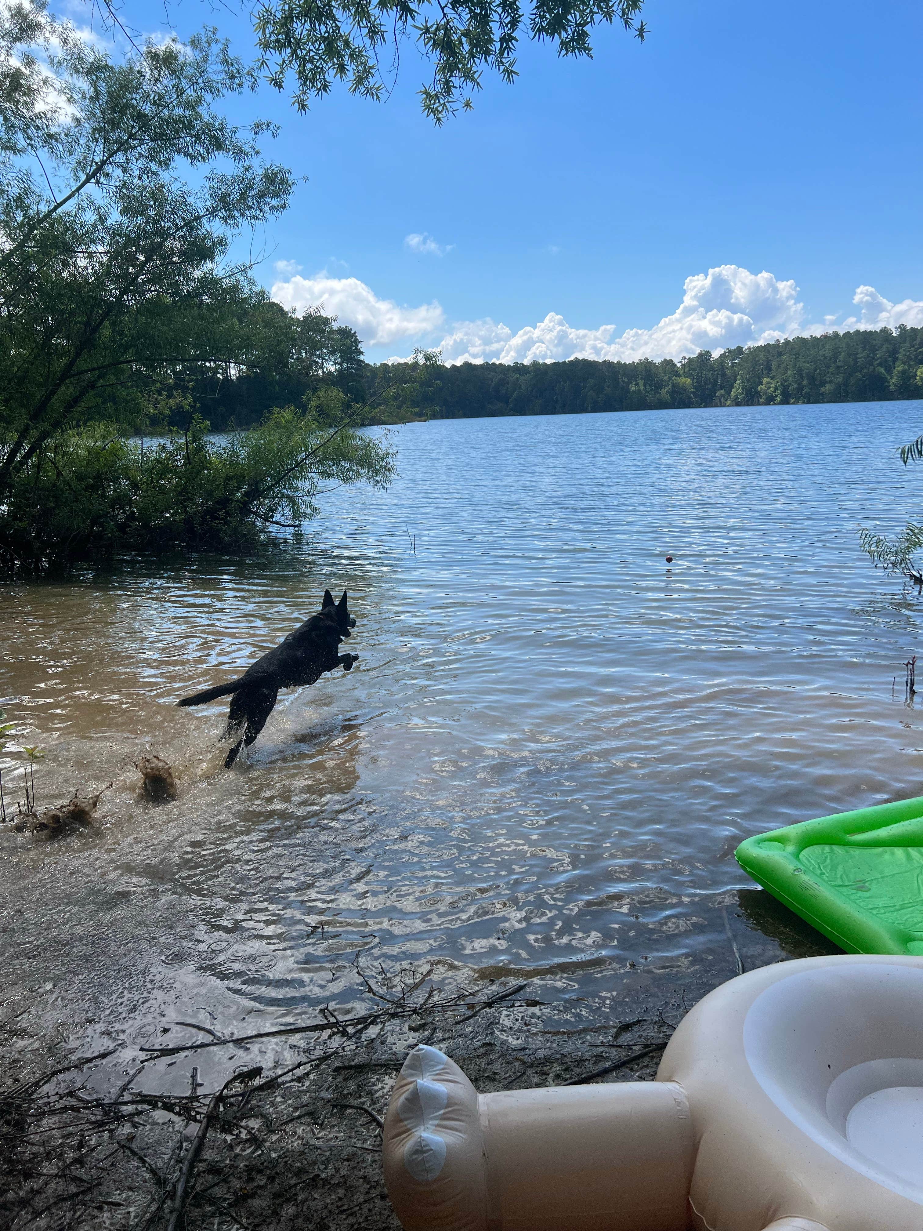 Camper submitted image from Bussey Point Wilderness Area - 4