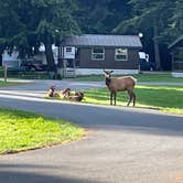 Review photo of Dosewallips State Park Campground by adelia , July 6, 2022