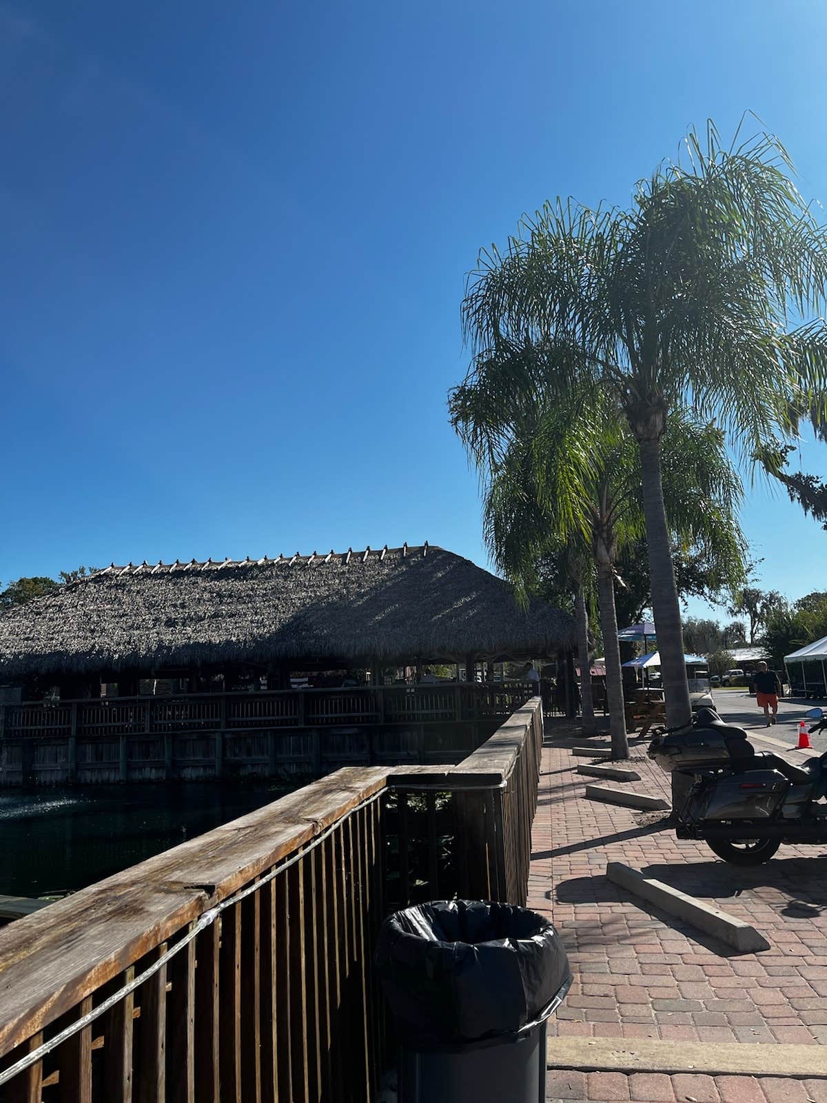 Camper-submitted photo at Renegades on the River near Ocala National Forest