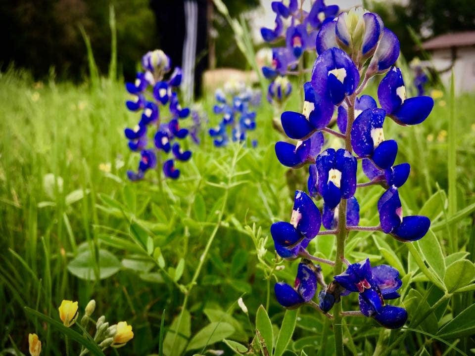 Camper-submitted photo at Karankawa Camping Area — Goliad State Park near Goliad, TX