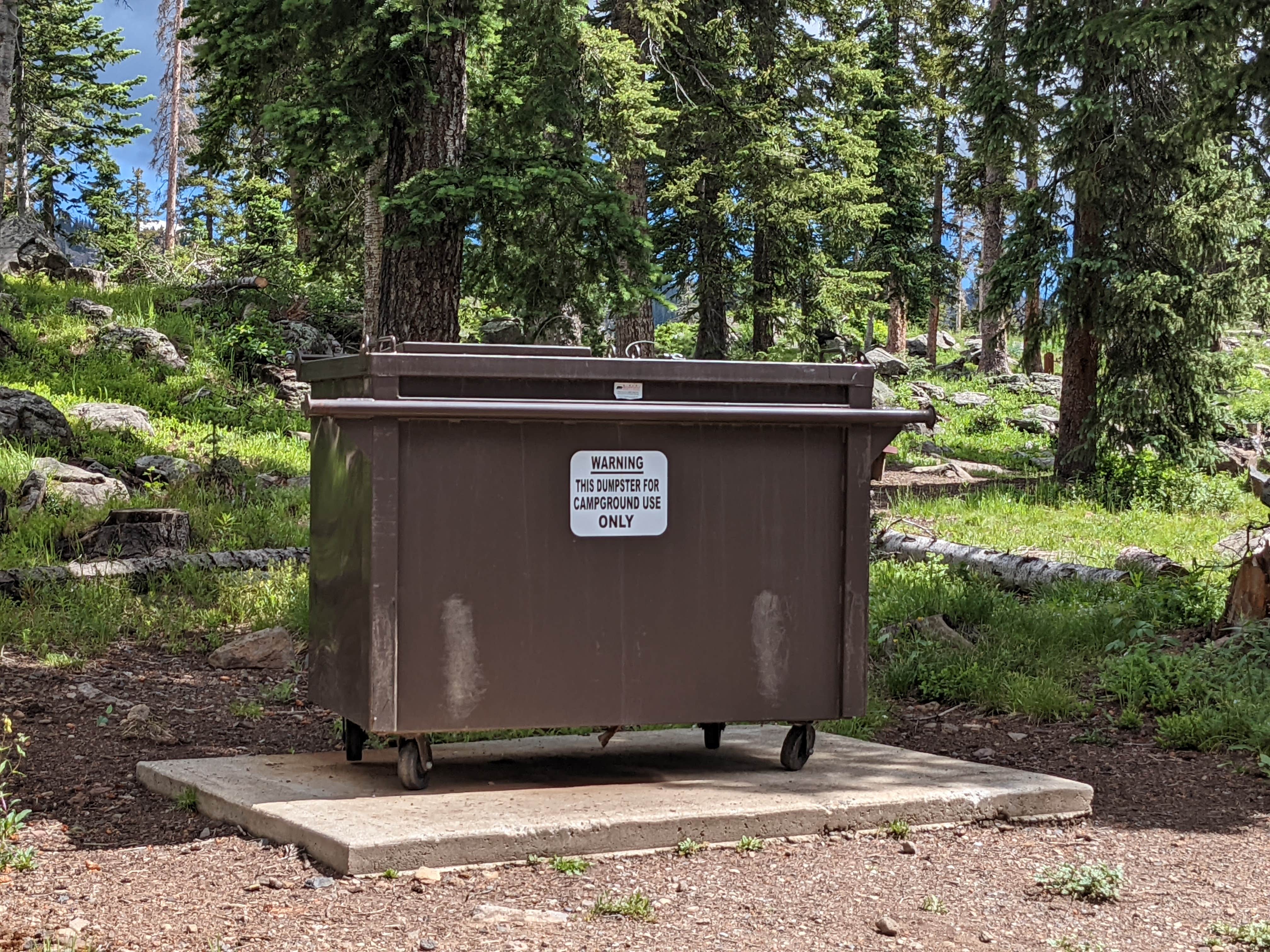 Camper-submitted photo at Little Bear Campground near Collbran, CO