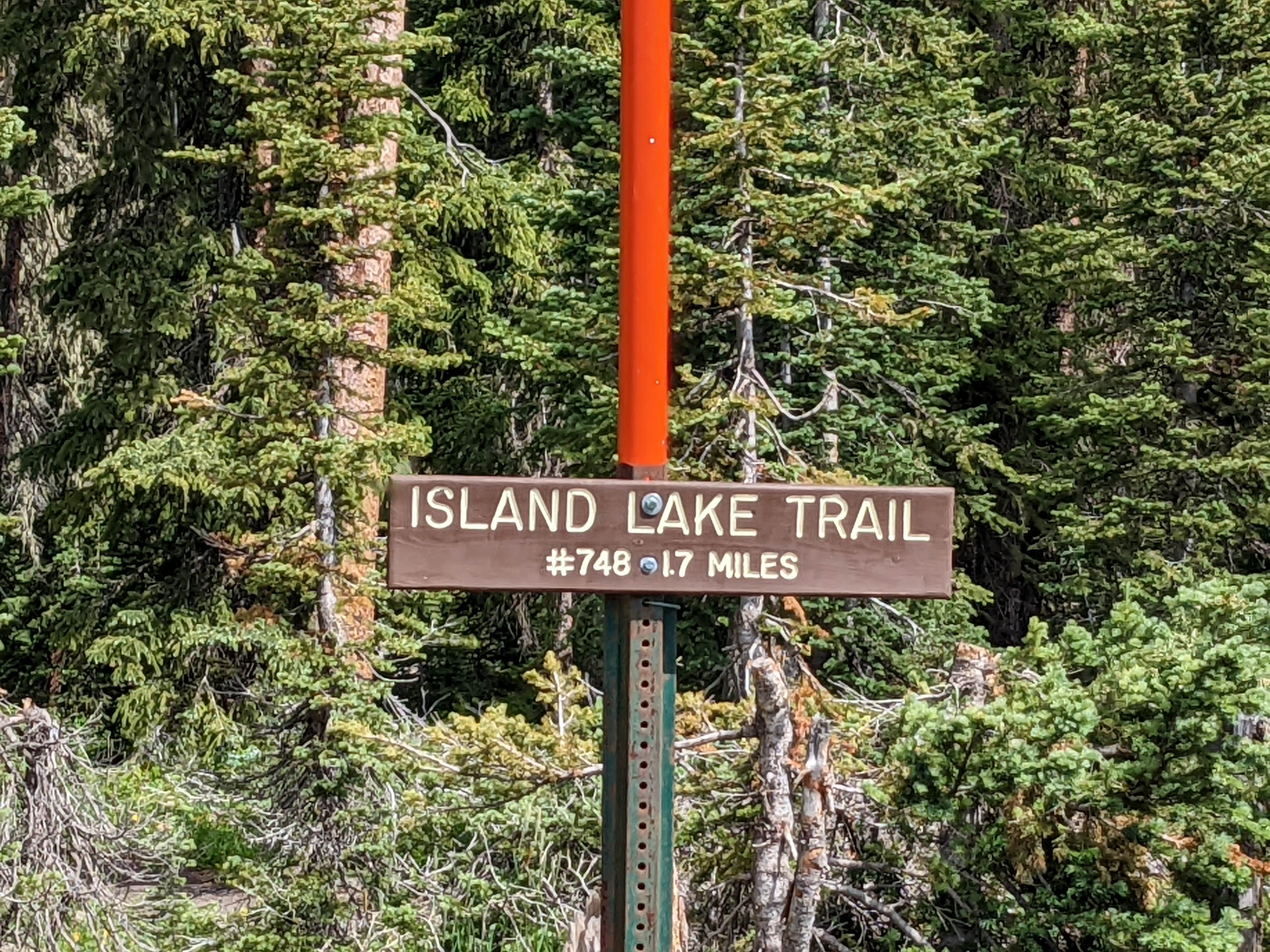 Camper-submitted photo at Little Bear Campground near Collbran, CO