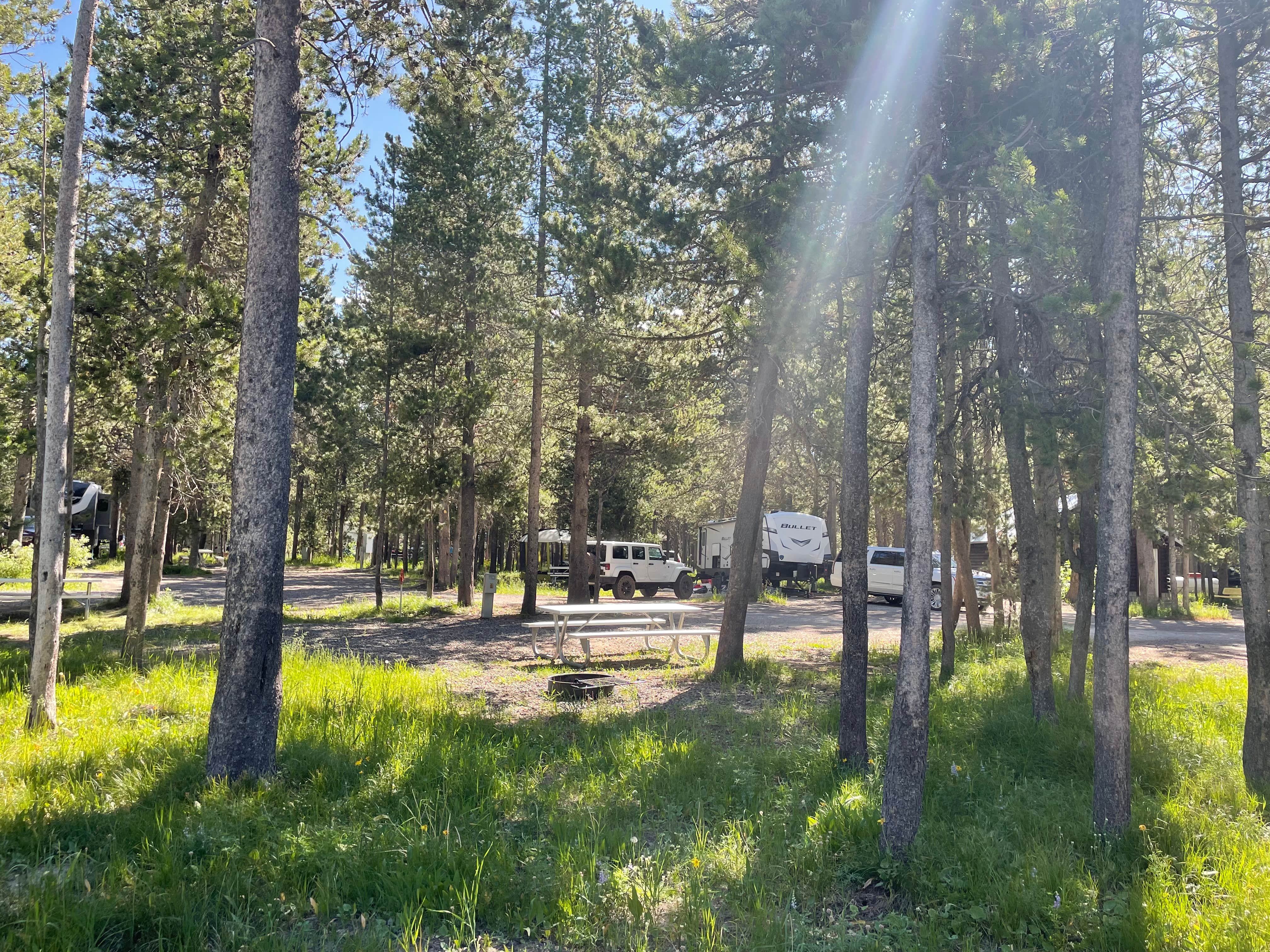 Camper-submitted photo at Yellowstone RV Park at Mack’s Inn near Island Park, ID