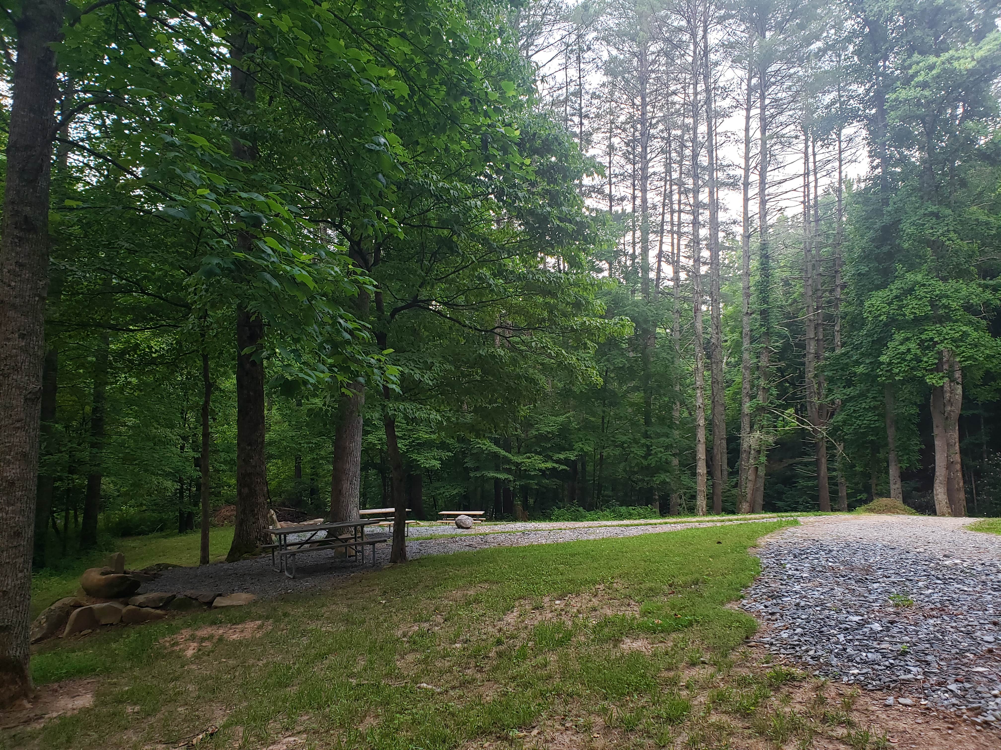 Camper submitted image from The Homeplace Campground and Gardens - 2