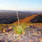 Review photo of Interior Primitive Sites — Big Bend Ranch State Park by Chelsea O., July 18, 2018